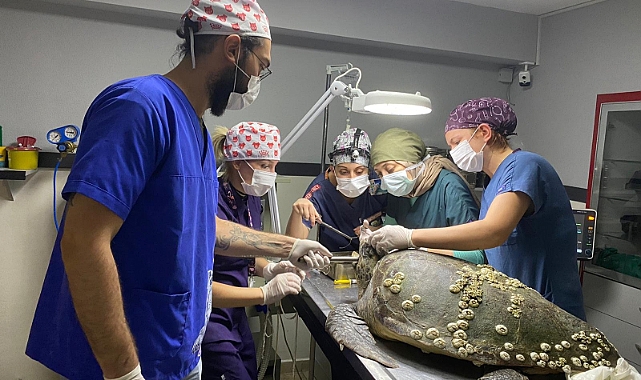 Ameliyatı başarılı geçti