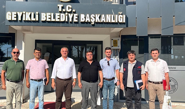 Geyikli, Zeytin Hasat Şenliği’ne hazırlanıyor  