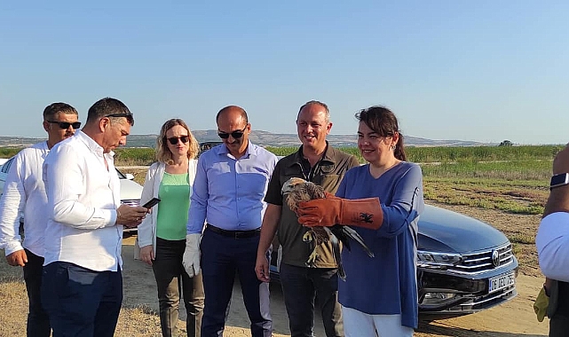 Tedavileri tamamlandı, doğaya salındı