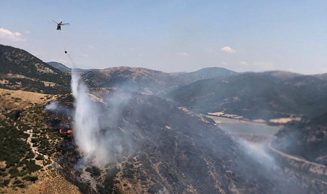 Yangın ormana sıçradı