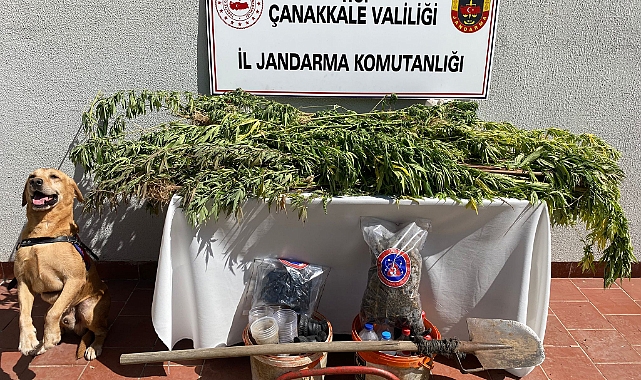 Biga'da uyuşturucu operasyonu