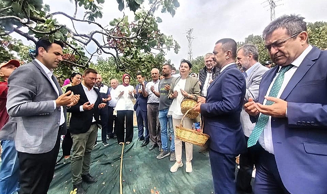 Şapköy’de Fıstık Hasat Şenliği düzenlendi