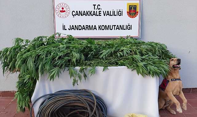 Uyuşturucu operasyonu; 2 gözaltı