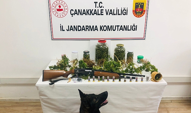 Jandarmadan uyuşturucu operasyonu
