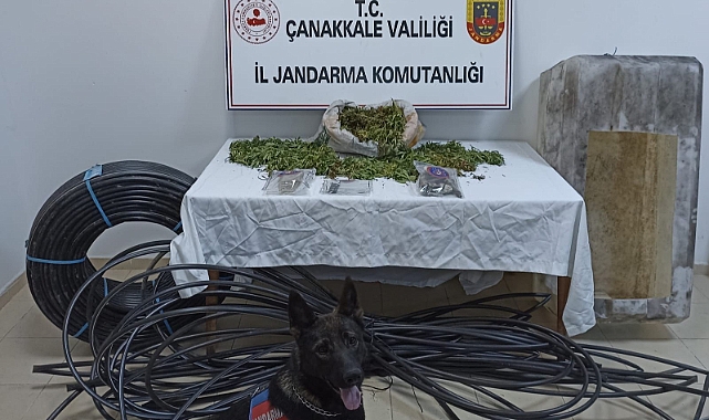 Jandarmadan uyuşturucu operasyonu