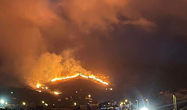 Gökçeada'da yangın