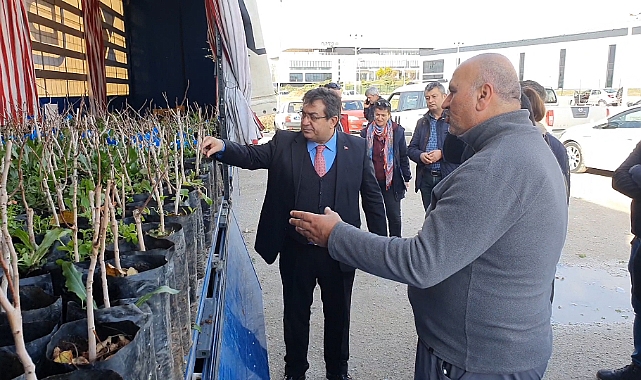 Antepfıstığı fidanları toprakla buluşacak