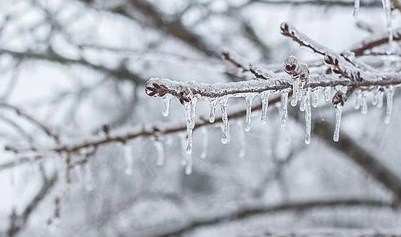 Meteorolojiden zirai don uyarısı