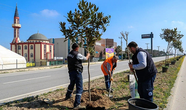Biga'da hummalı çalışma