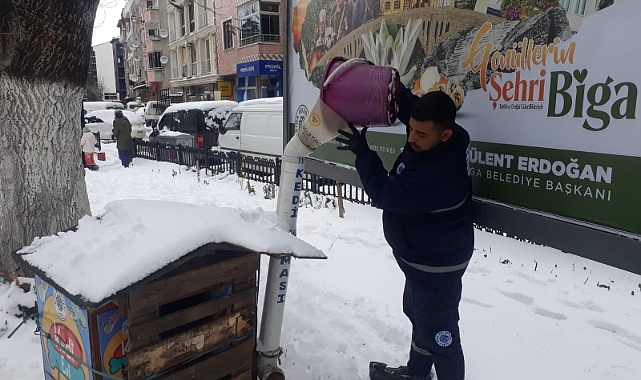 Biga Belediyesi’nden mama desteği