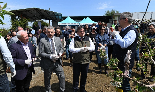 Yılmaz; "Lapsekimiz meyve deposu bir ilçe"