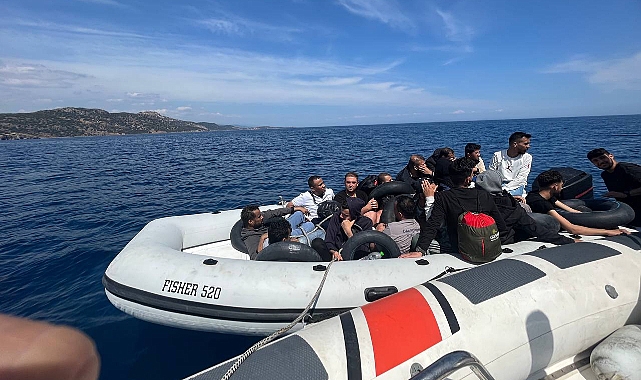 Ayvacık'ta operasyonla yakalandılar