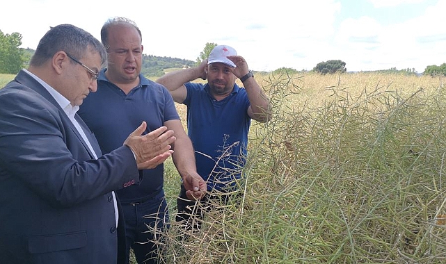 'Kanola Ekelim, Yağ Olsun, Bal Olsun'