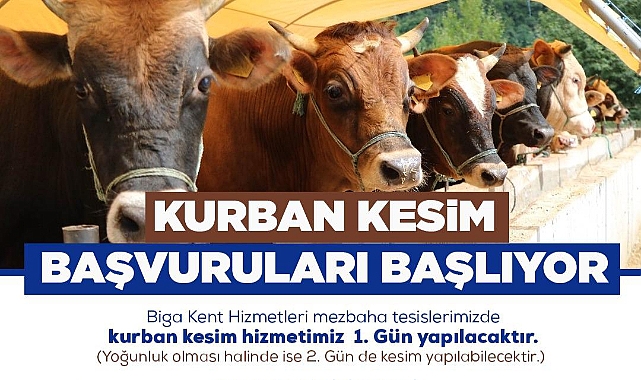 Kurban kesim başvuruları 7 Haziran'da başlıyor