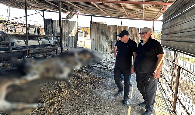 Gider; "Devletimiz üzerine düşeni yapacaktır"