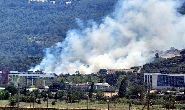 Sarıcaeli köyünde yangın