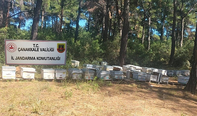 Ezine'de arı kovanı hırsızlığı