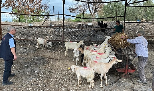 "Yangının açtığı yara, el birliğiyle sarılıyor"
