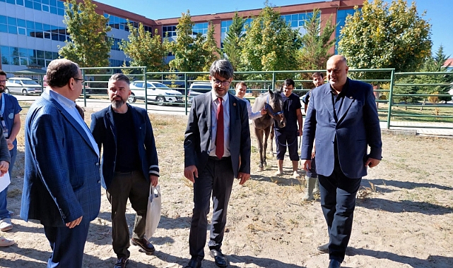 Biga'ya Veterinerlik Fakültesi ve Hayvan Hastanesi kurulması çalışmaları başladı