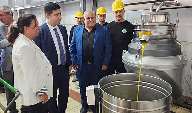 Sezonun ilk zeytinleri işlenmeye başlandı