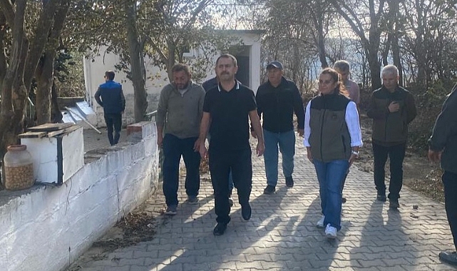 Vali Aktaş'tan yangın bölgesinde inceleme