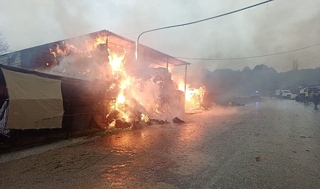 Balaban'da yangın paniği