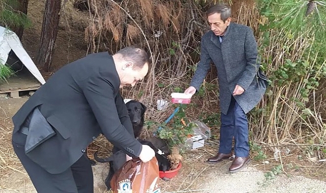Can dostlarımıza mama desteği sürüyor