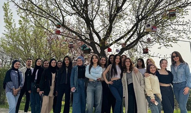 Kuşlar için özel yuvalar hazırladılar