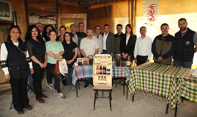 Yeni sofralık üzüm çeşitleri sektöre kazandırılıyor