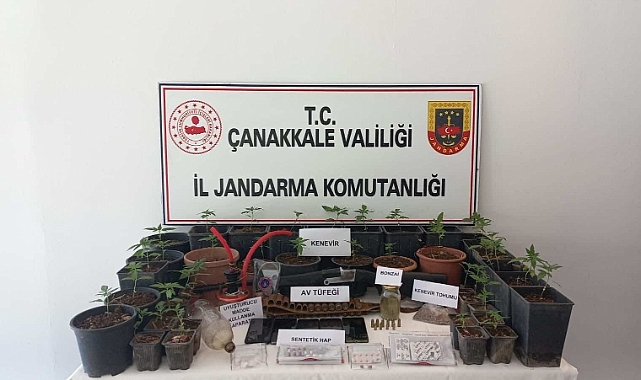 Jandarmadan uyuşturucu operasyonu; 12 gözaltı