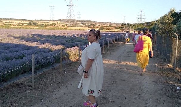 Lavanta Festivali ilgi çekiyor