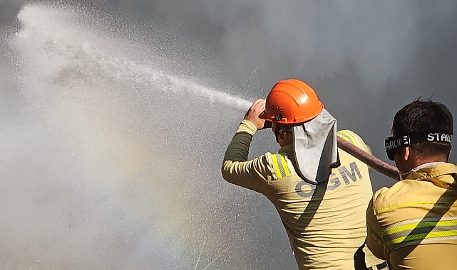 Ayvacık'ta orman yangını söndürüldü