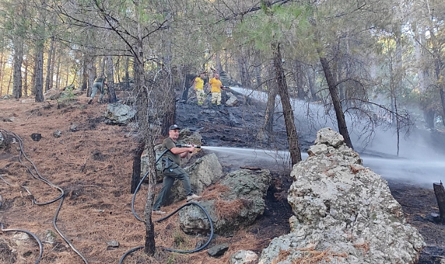 Çanakkale Valiliği'nden orman yangınlarına karşı uyarı