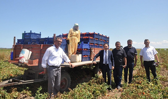 Biga'da domates hasadı