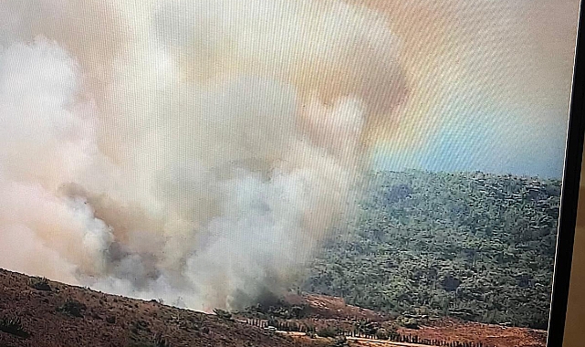 Bozcaada'da yangın söndürüldü