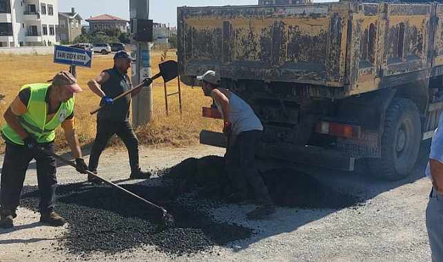 Geyikli'de saha çalışması