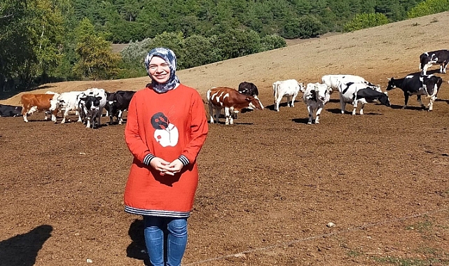 Hayalleri gerçekleştiren proje