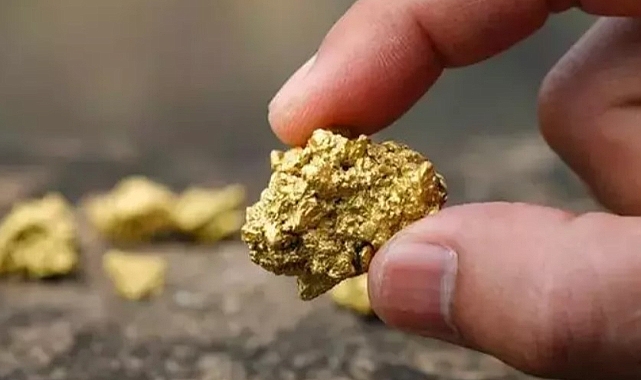 Toprağın Altında Uyuyan Servet: 600 Milyar Dolarlık Altın