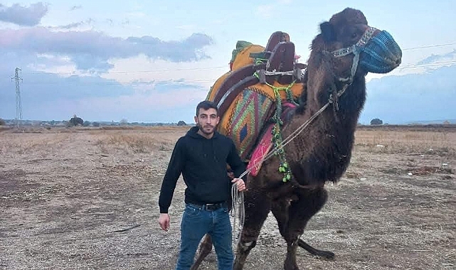 Deve güreşleri öncesi bir kişi silahla vurularak öldürüldü! Deve güreşleri iptal edildi!