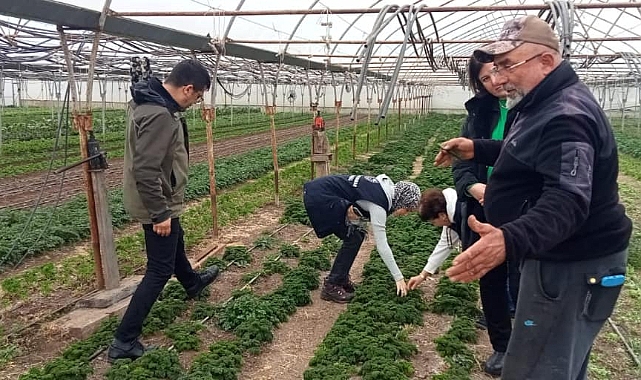Yabancı otlarla mücadele çalışmaları başladı