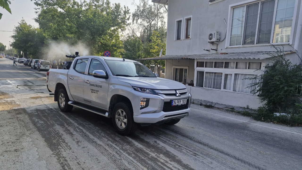 Karasinek ve sivrisinek ile mücadele sürüyor