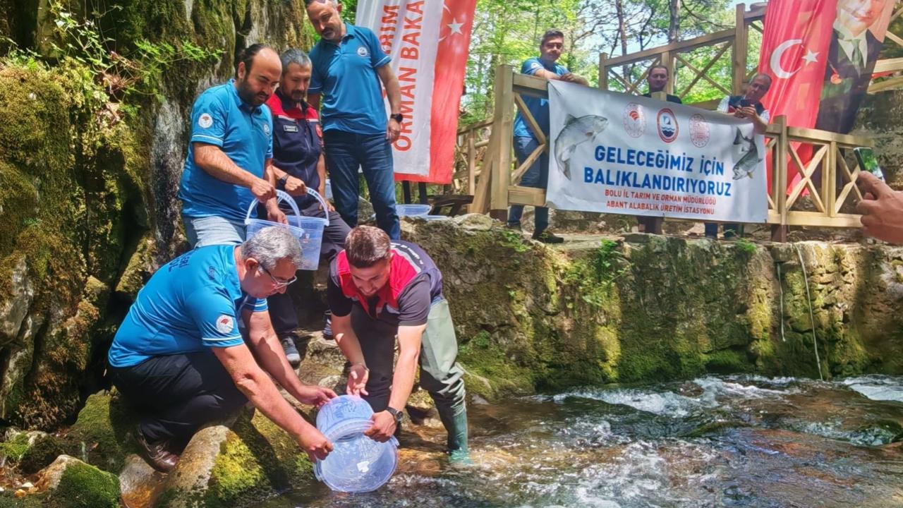 Bayramiç Ayazma Deresi’ne 50 bin yavru balık bırakıldı