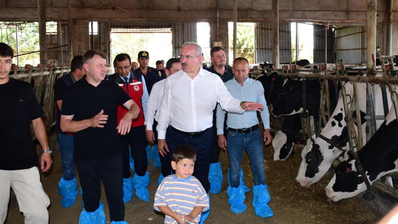 Vali Toraman Biga’da tarım, hayvancılık ve sanayi tesislerini inceledi