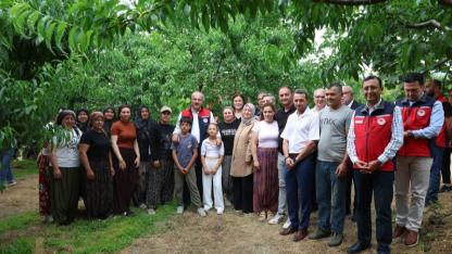 Vali Toraman, Bayramiç Beyazı hasadına katıldı